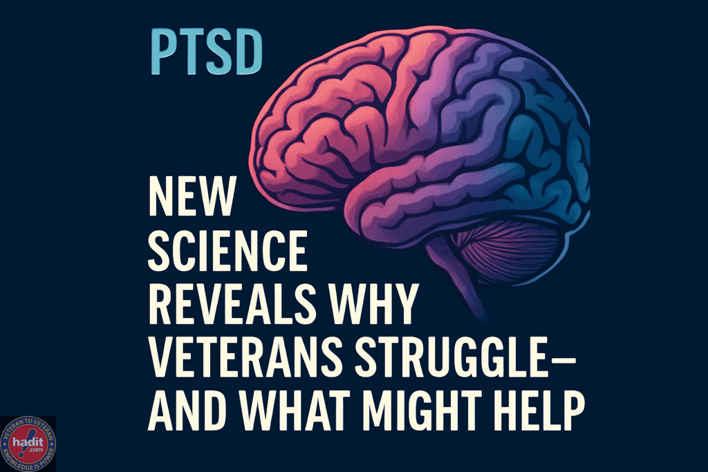 An artistic representation of a brain with text discussing new scientific insights into veterans' PTSD challenges and potential solutions.